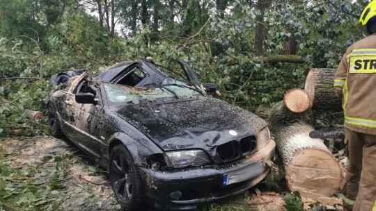 Drzewo na aucie. Dziesiątki interwencji strażaków po burzy