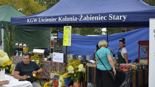 W trosce o kulturę lokalną