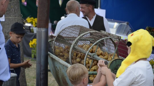 W trosce o kulturę lokalną