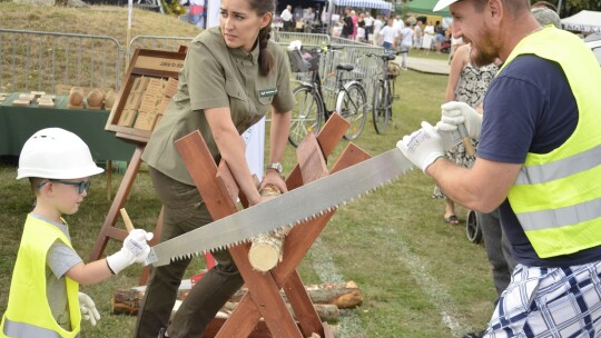 W trosce o kulturę lokalną