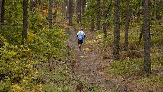 3. Pilawski Trail - zdjęcia w lesie oraz na linii mety