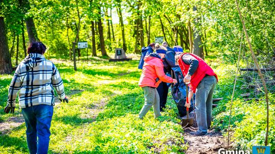Uścieniec: Aleja Klonowa i historyczne odkrycie przy miejscu pamięci
