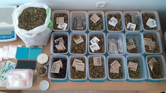Aresztowany 29-latek, przejęte 1,5 kg marihuany i zlikwidowana plantacja konopi