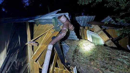 Silny wiatr powalił drzewo na garaż