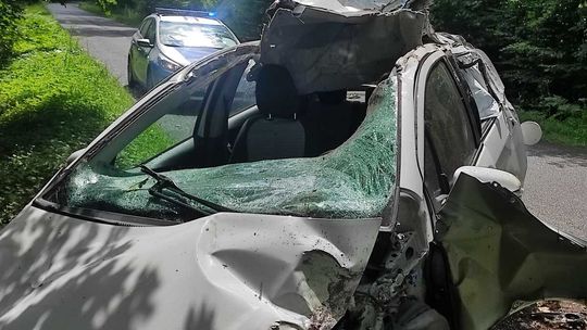 Poważne skutki zderzenia z łosiem