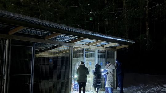 Sobolew zamknięty, ale walka o życie 200 zwierząt dopiero się zaczyna. Ruszyła pilna zbiórka