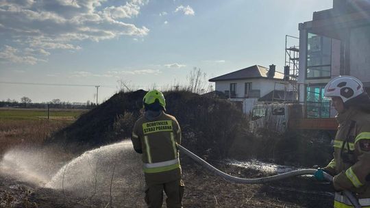 Pożary traw w powiecie garwolińskim. Ogień zagroził budynkom