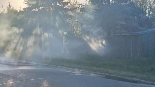 Ogień na działkach w Garwolinie. Strażacy szybko ugasili pożar