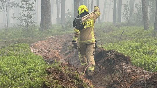 Strażacy z powiatu garwolińskiego nadal walczą z ogromnym pożarem lasu. Opublikowali zdjęcia z akcji