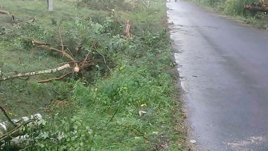Krótka, ale intensywna burza nad powiatem garwolińskim. Strażacy usuwają skutki nawałnicy