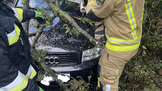 Krótka, ale intensywna burza nad powiatem garwolińskim. Strażacy usuwają skutki nawałnicy
